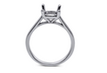 Cathedral Solitaire Engagement Ring Setting - Sydney Rosen